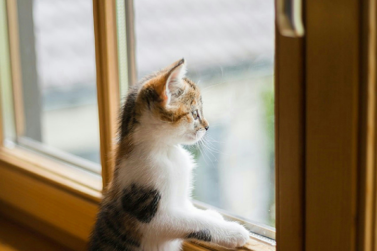 Bonus infissi 2026: come sostituire serramenti risparmiando fino al 50% della spesa prevista